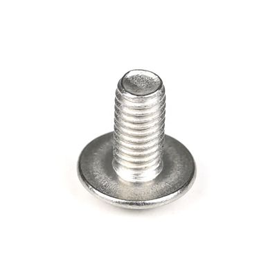 Flat Undercut Head Style Edelstahl Metallgurt Phillips Cross Recesse Schraubmaschine