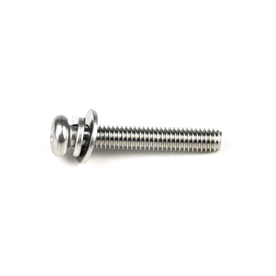 ISO-Standard M4 X 25mm Edelstahl Pan Head Phillips Maschinenschrauben mit Waschmaschine für Tür