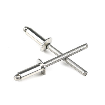 Edelstahl Kuppel Flachkopf Offener End Blind Rivets mit hellen Oberfläche T / T Zahlung