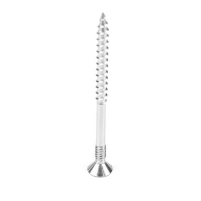 100 mm Edelstahl-Doppel-Dreh-Schraube für Trockenbau