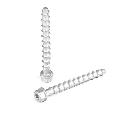 M6 75mm Edelstahl Hexkopf Beton Ankerbolze für Gießstab Zahlungsfrist T/T