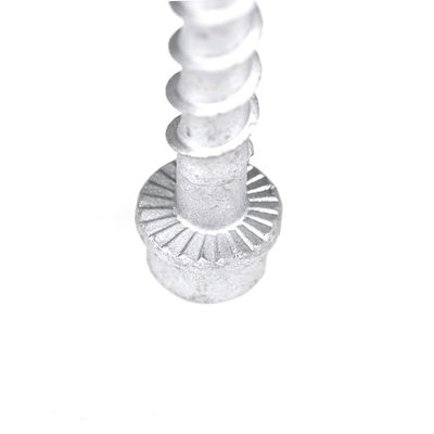 M6 75mm Edelstahl Hexkopf Beton Ankerbolze für Gießstab Zahlungsfrist T/T