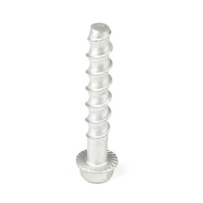 M12 90mm Edelstahl Hex Flansche Mauerwerk Schraube für Betonanker Zahlungsfrist T/T