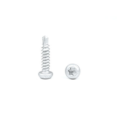 Bi-Metall Edelstahl 304 Torx Pan Kopf Selbstbohrschrauben Wasserdichte Schraube