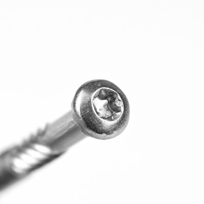 Truss Head Style 316 aus Edelstahl Torx Pan Head Selbstschraubschrauben für die Anpassung